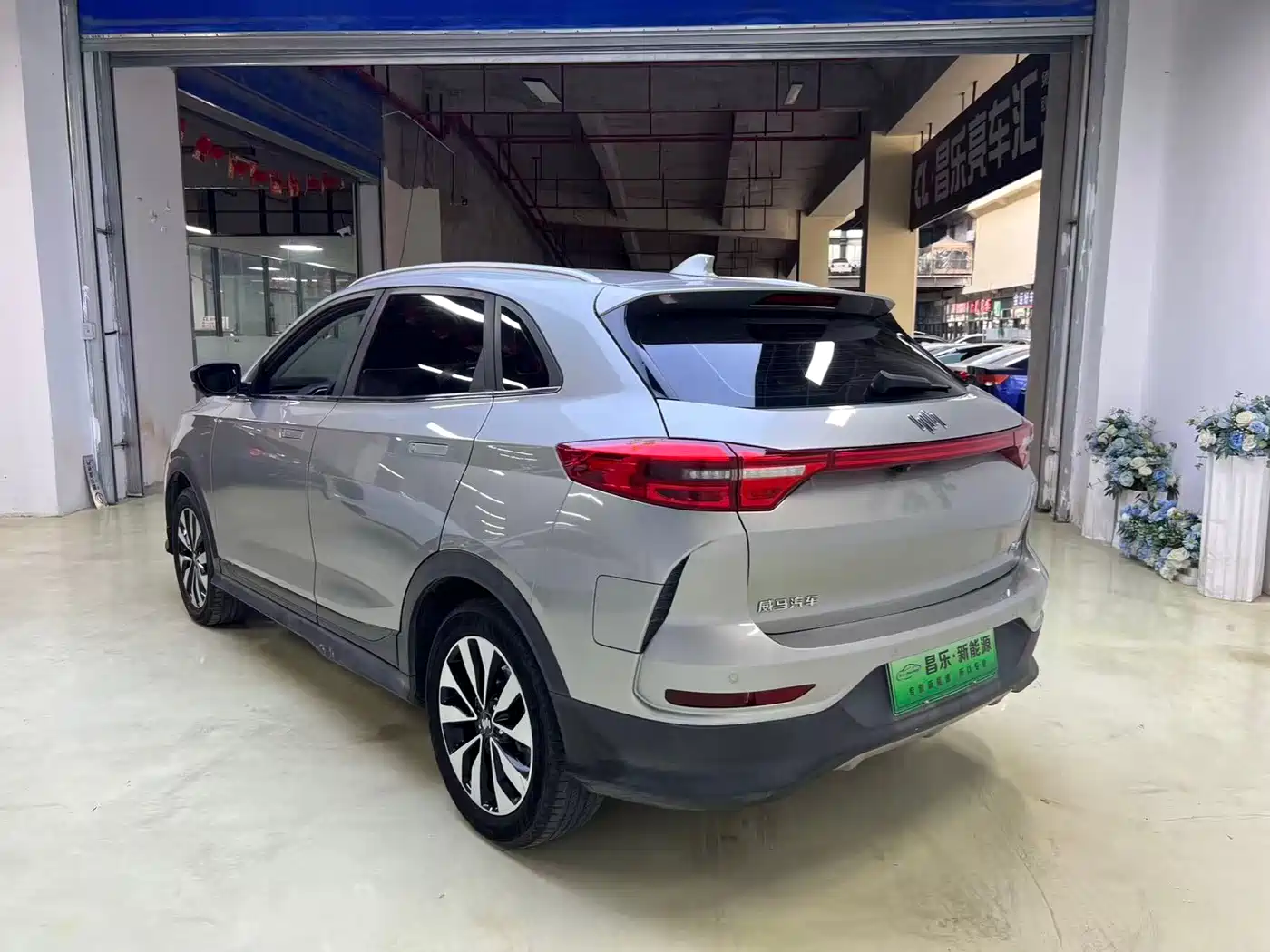 WEIMA AUTOMOBILE WEIMA EX5