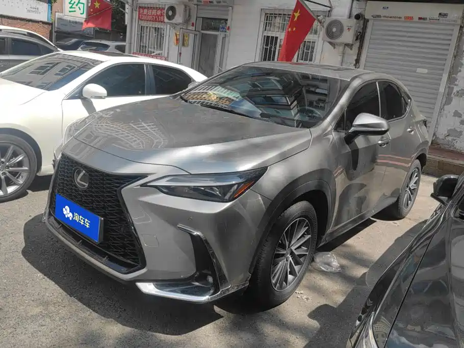 Lexus NX 2024 2024 350h FWD Joy Creation Edition
