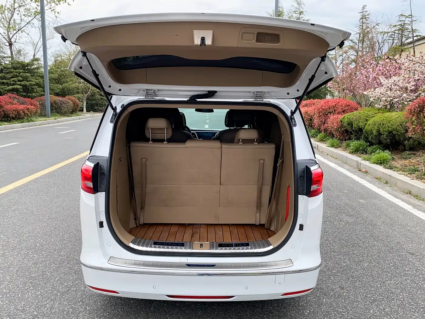 Buick GL8 2017 ES 28T Premium China V фото 21
