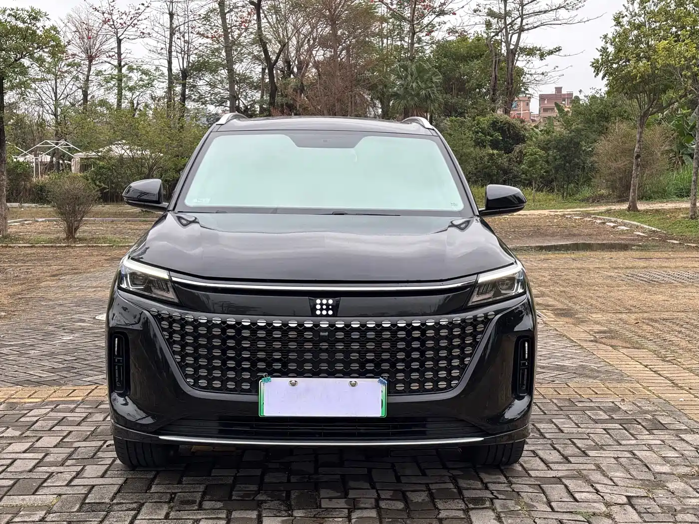 Landian E5 2024 2024 Glory Edition 100KM Comfort Type 7-Seater