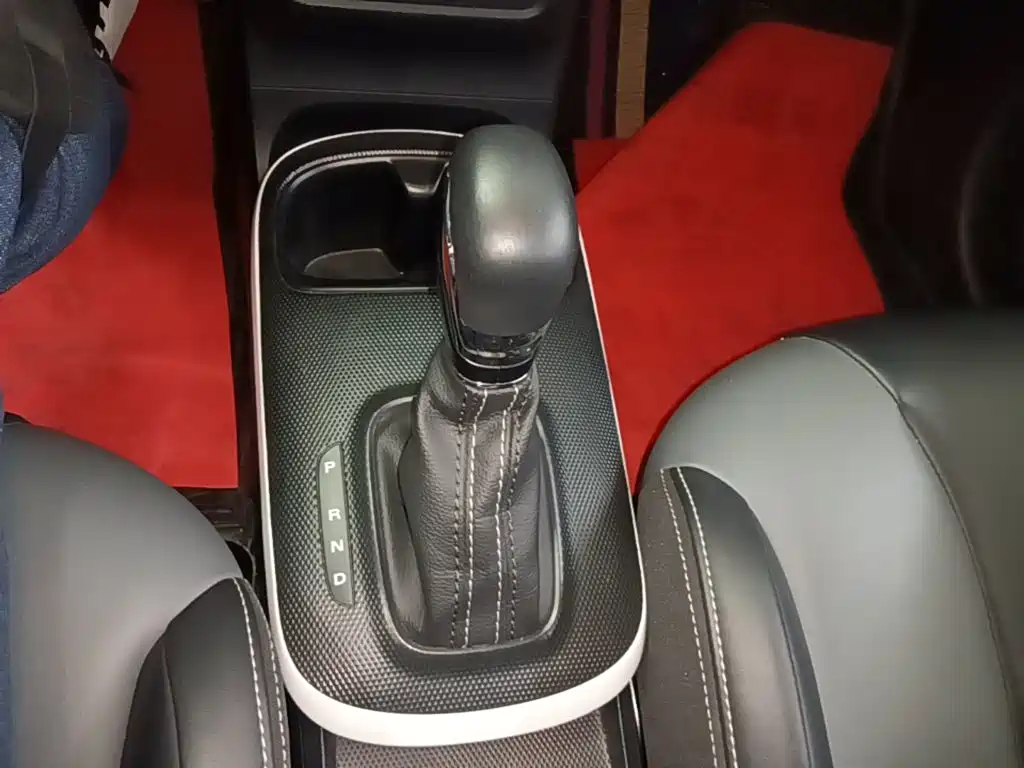 Roewe Clever 2024 2022 311km Vitality Bobo Edition