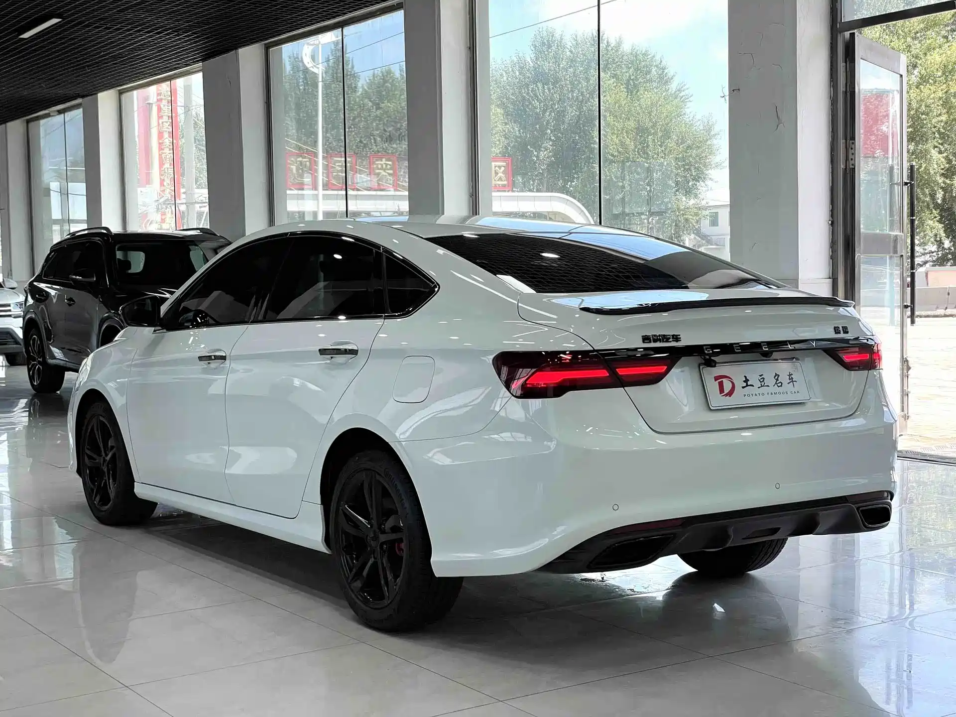 Фото 4 - Geely Binrui