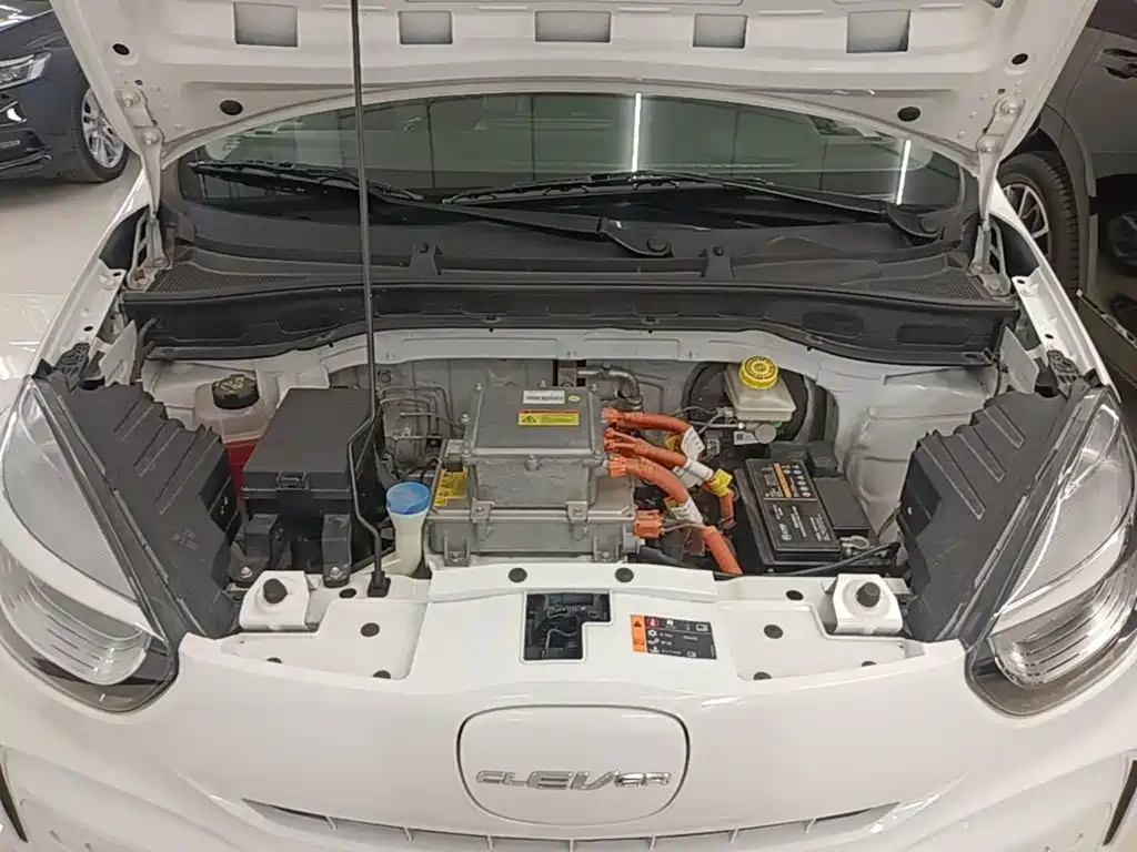 Roewe Clever 2024 2022 311km Vitality Bobo Edition