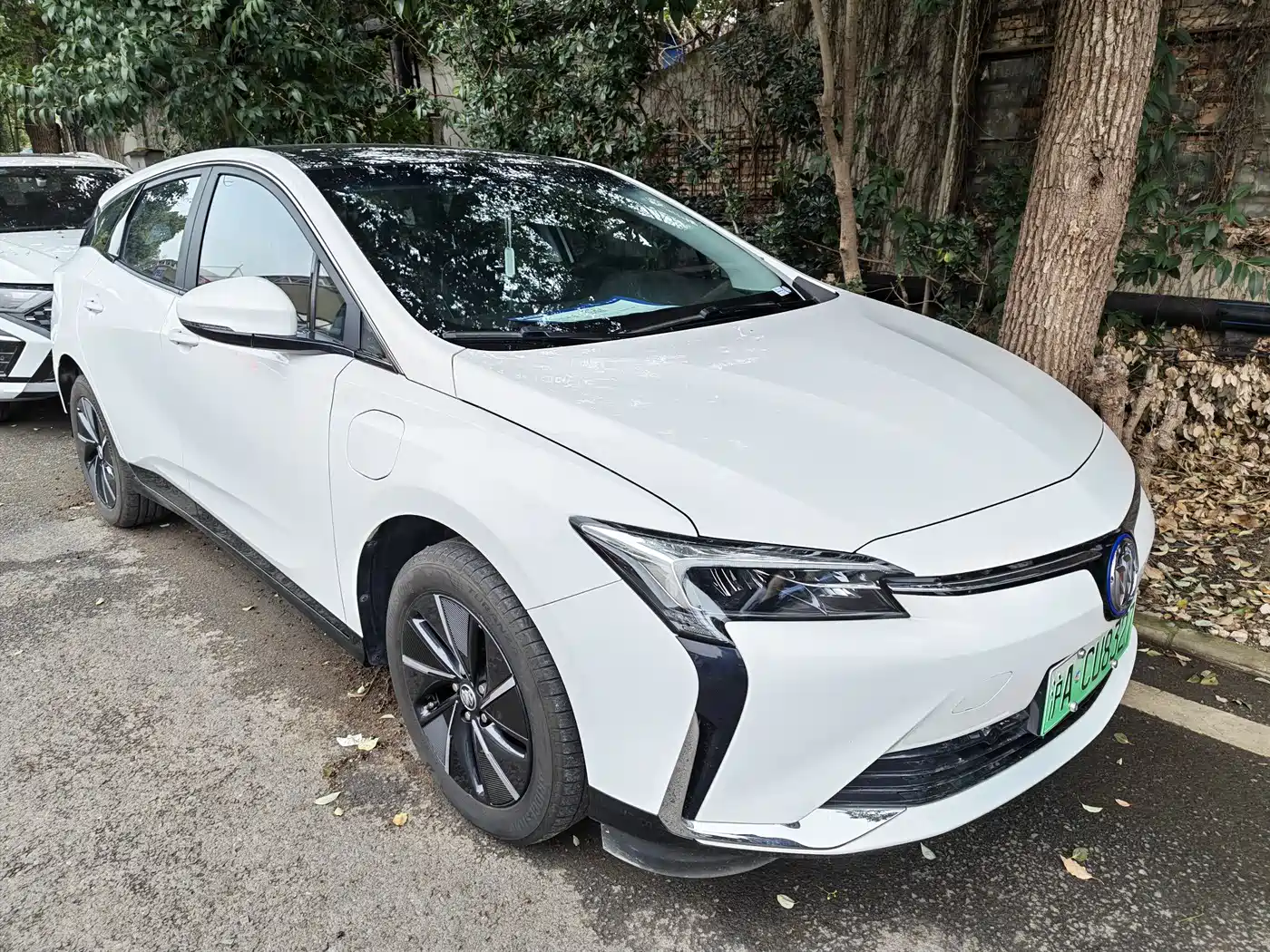 BUICK SLIGHTLY BLUE 6