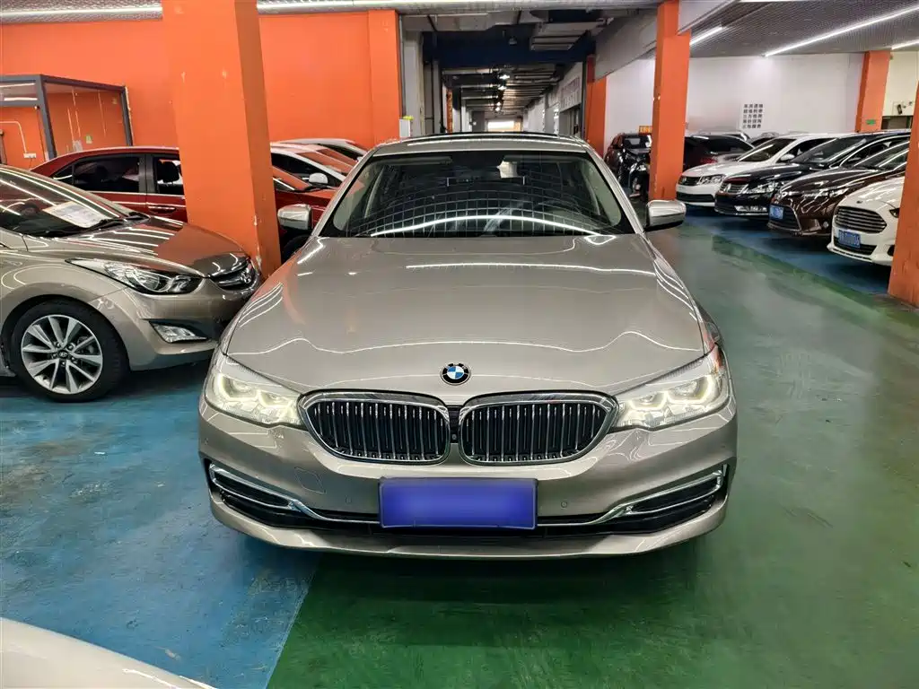 BMW 5 Series 2020 525Li Luxury Package фото 20