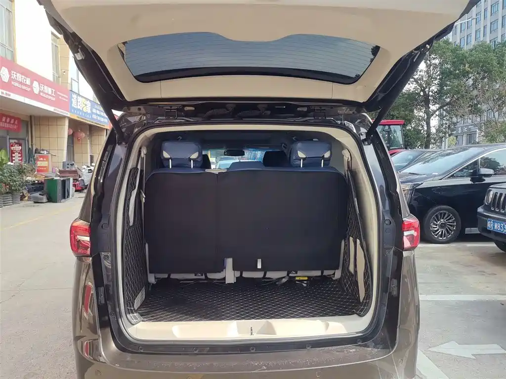 Buick GL8 2021 Land Business Class 652T Luxury фото 19