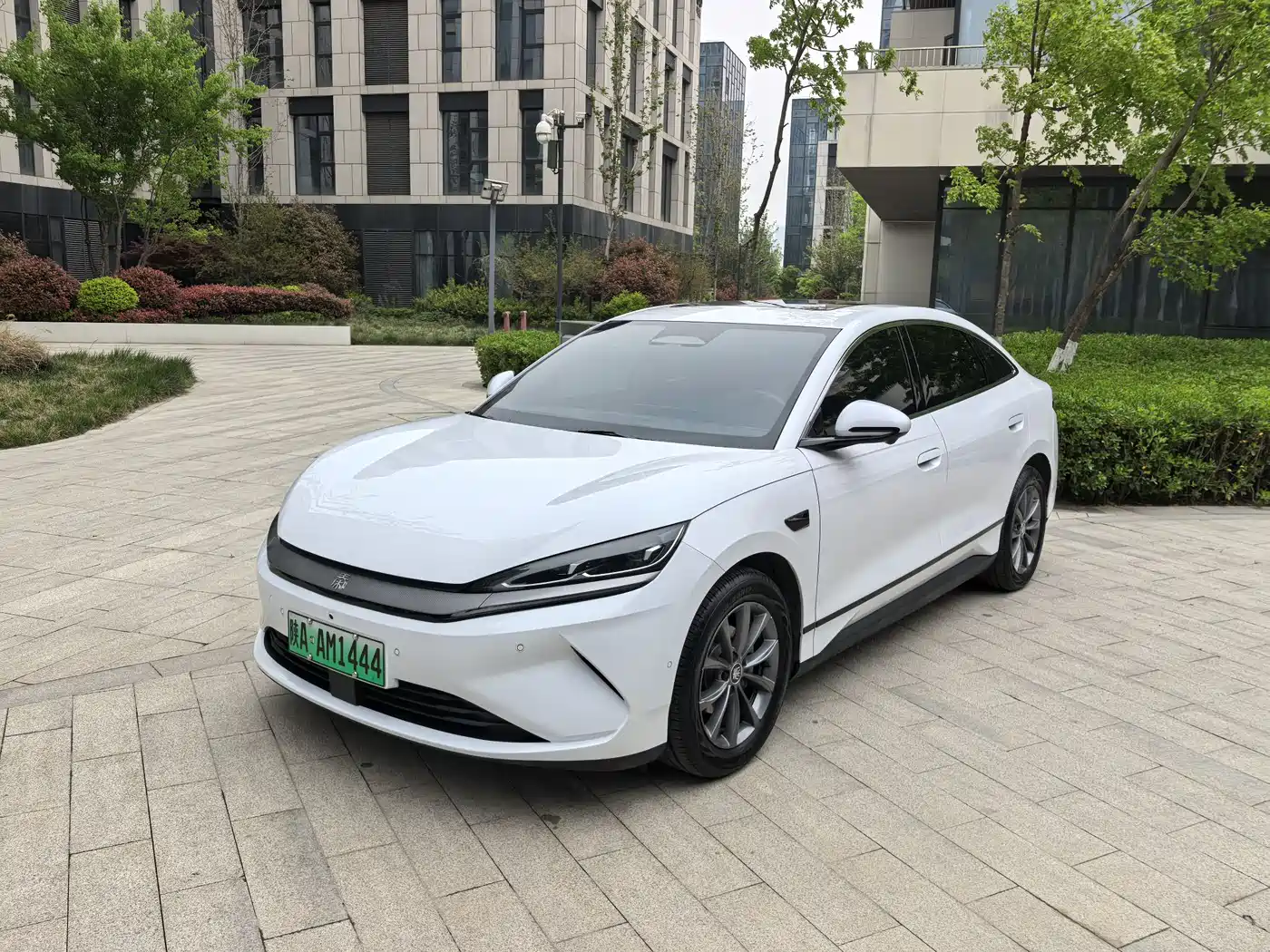 BYD QIN L