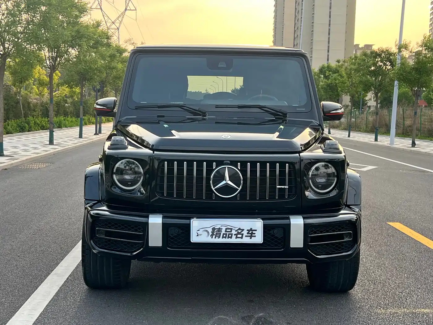 Mercedes-Benz G-Class 2020 G 350 фото 2