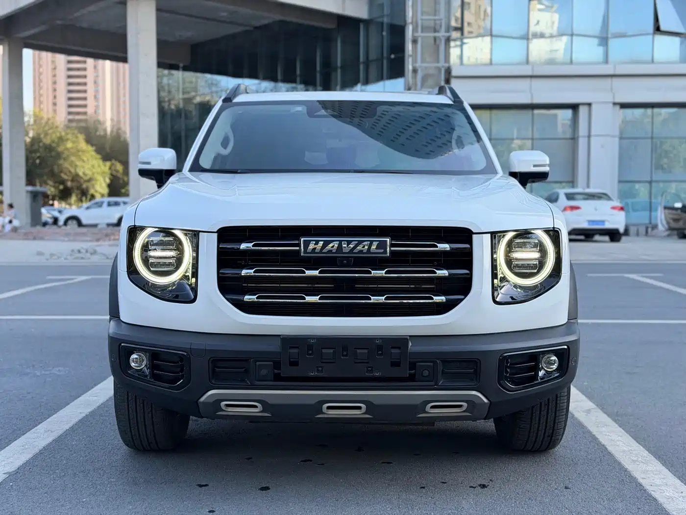 Haval Dargo 2021 2021 2.0T DCT 4WD Chinese Rural Dog Edition