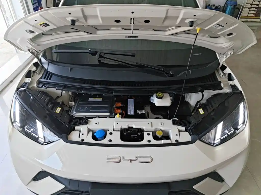 BYD Seagull 2023 2023 Freedom Edition