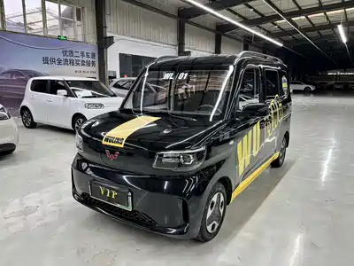 Wuling Sunshine