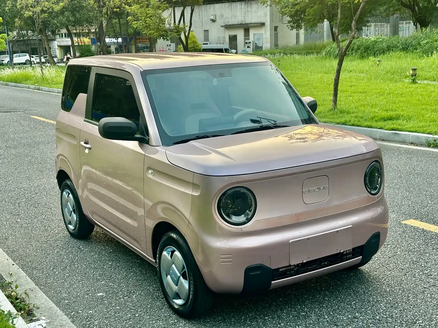 Geely Galaxy Panda 2023 2023 Panda Mini 200km Endurance Bear
