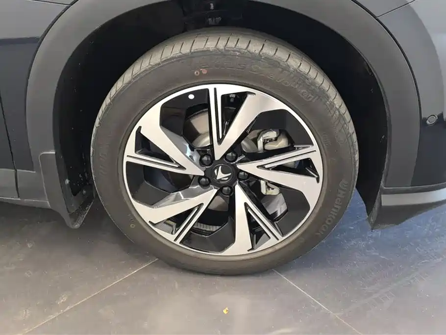 ARCFOX EXTREME FOX POLAR FOX ALPHA T5