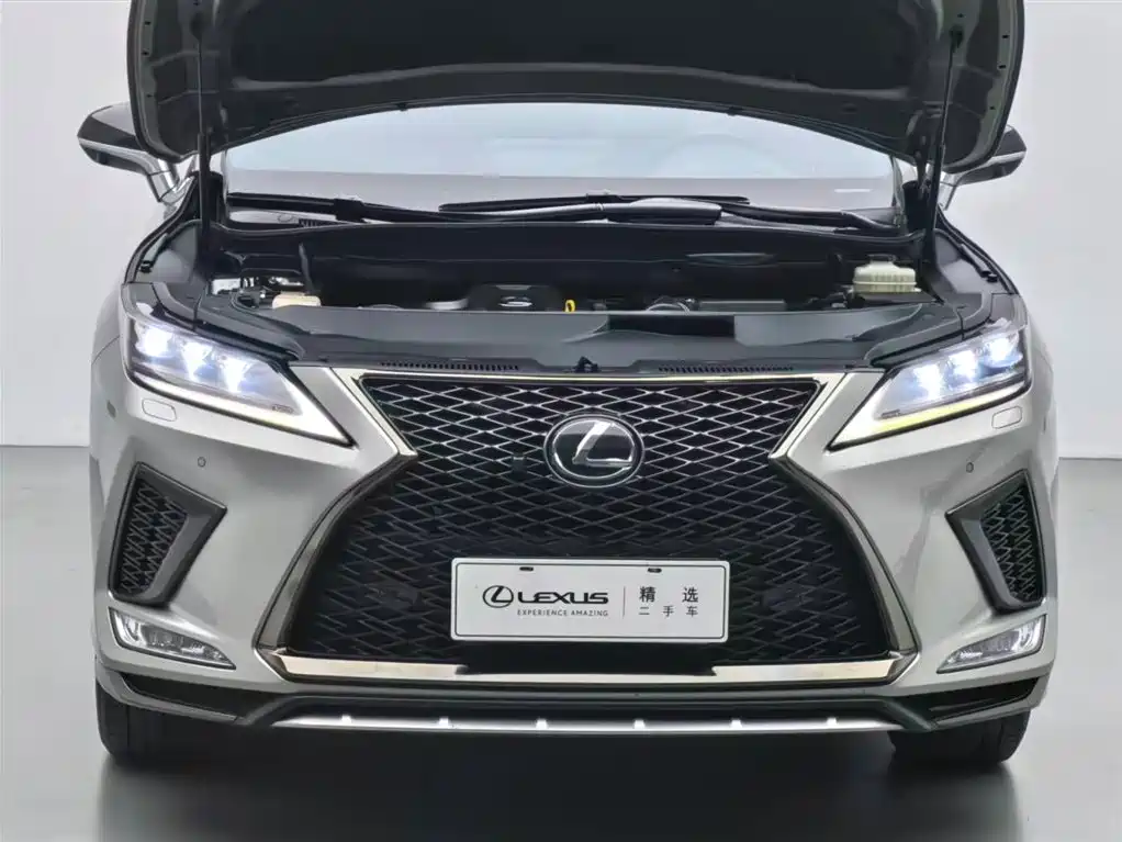 Lexus RX 2020 300 AWD F SPORT China V фото 3