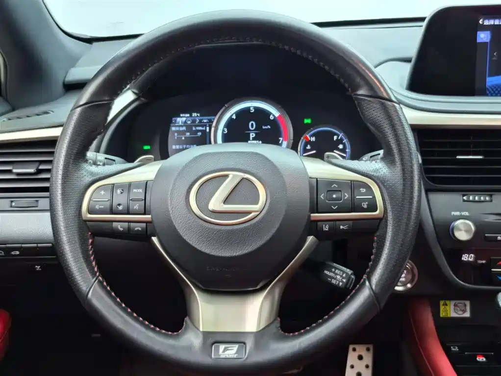 Lexus RX 2020 300 AWD F SPORT China V фото 5