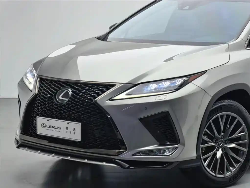 Lexus RX 2020 300 AWD F SPORT China V фото 15