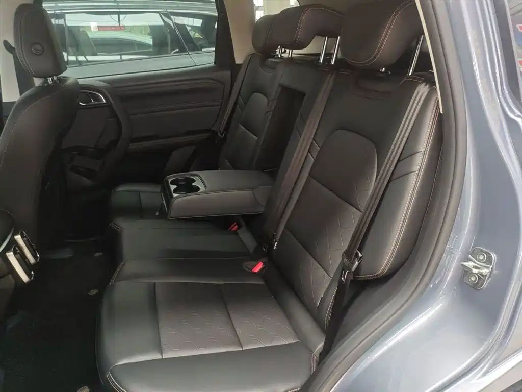 Haval Big Dog 2024 1.5T DCT Border Collie Edition фото 17