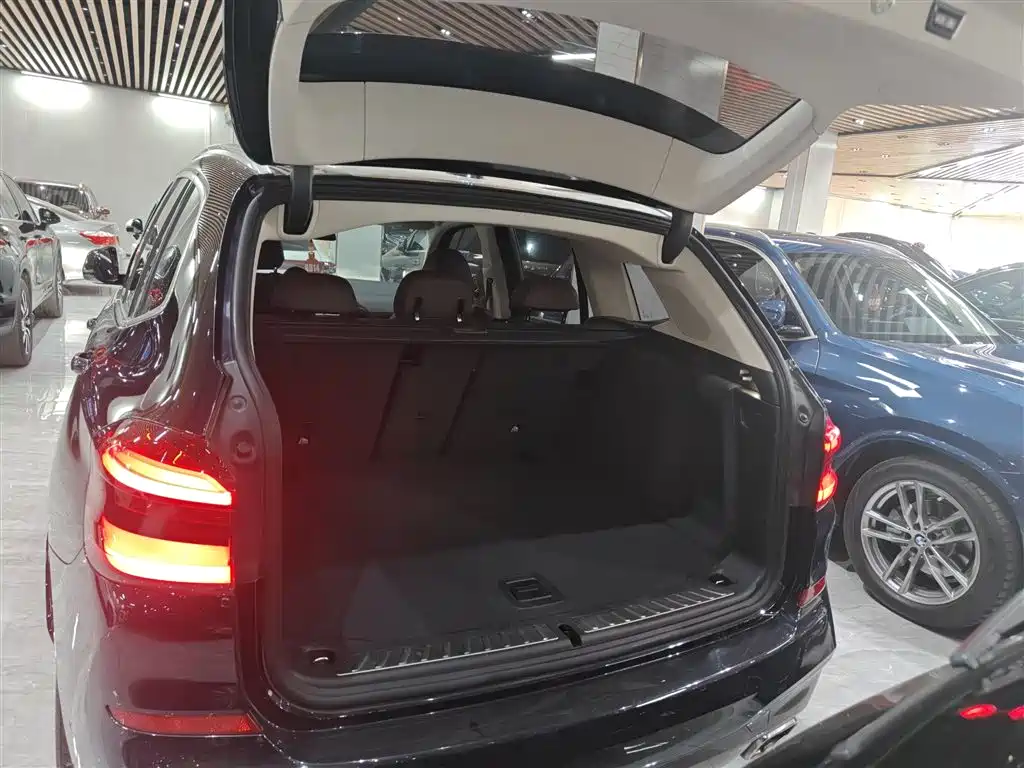 BMW X3 2020 xDrive30i Leading M Sport Package фото 18