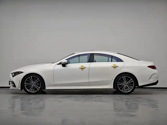 Mercedes-Benz CLS 2021 CLS 300 Sport фото 10
