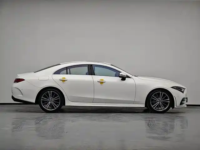Mercedes-Benz CLS 2021 CLS 300 Sport фото 20