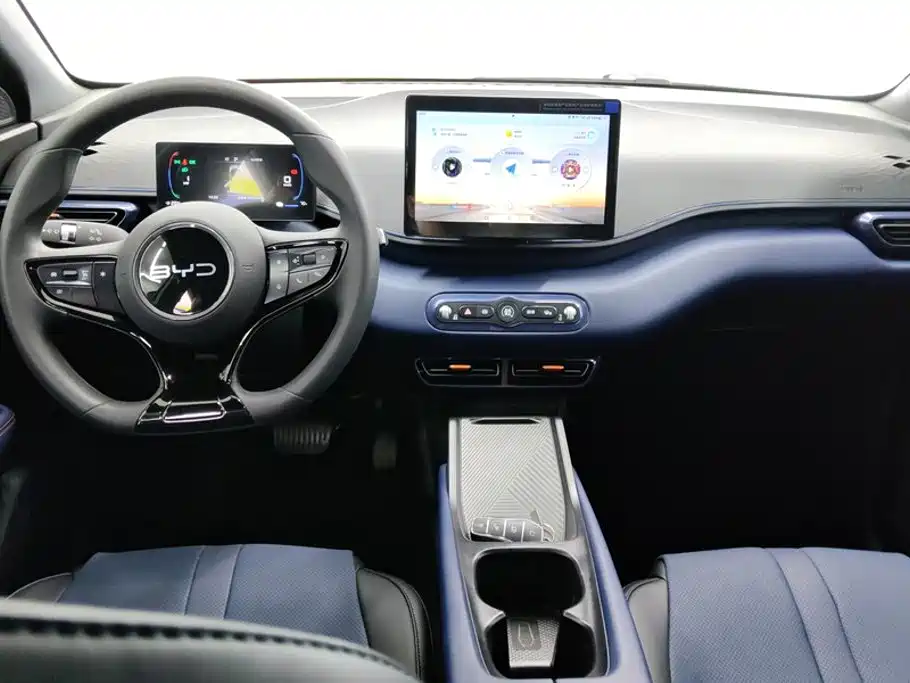 صورة 12 - BYD Seagull