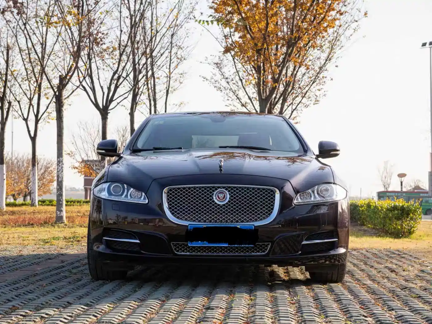 Jaguar XJ 2015 2015 XJL 3.0 SC 2WD Premium Business Edition