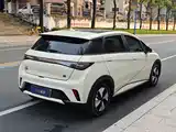 Фото 5 - BYD Dolphin