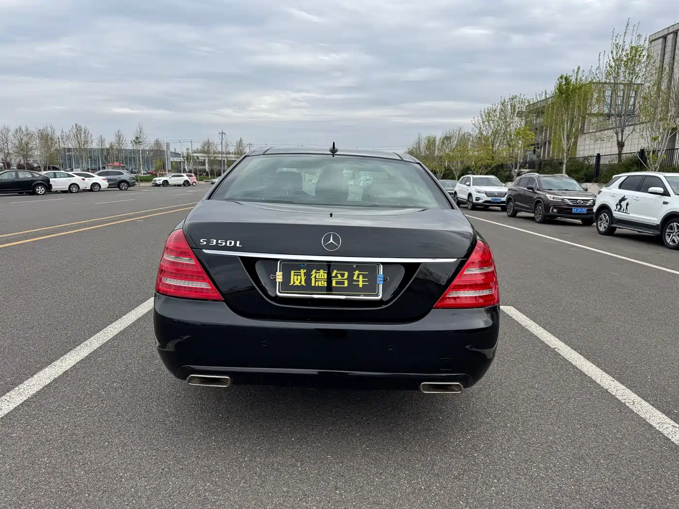 Mercedes-Benz S-Class 2012 S 300 L Luxury Grand Edition фото 6