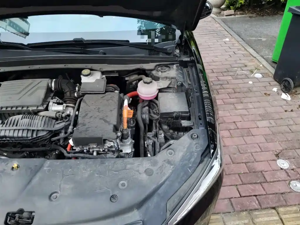 BYD Qin PLUS 2023 Champion Edition DM-i 55KM Leading фото 22