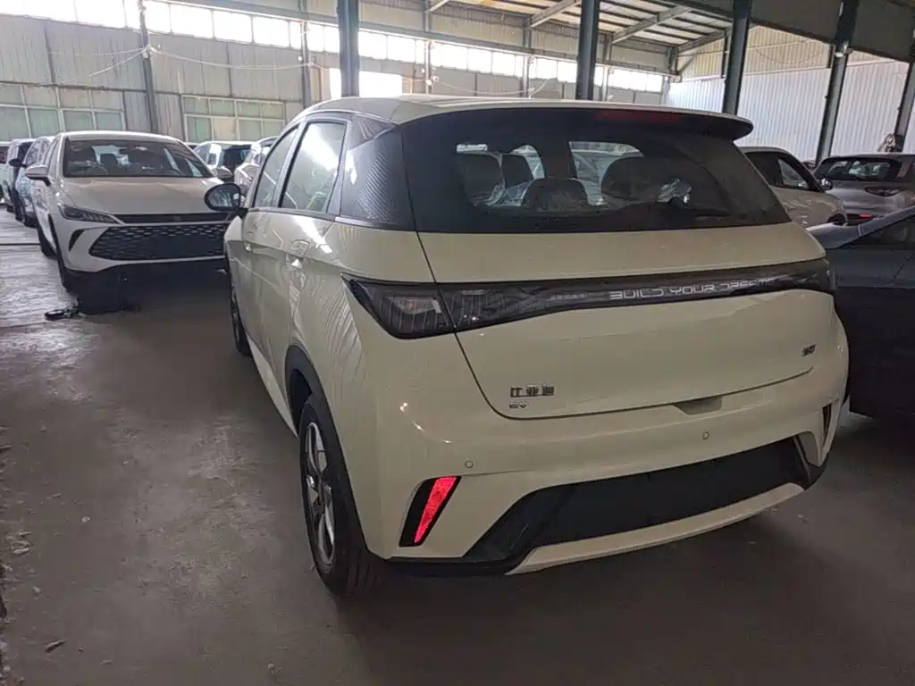 2026 BYD Dolphin