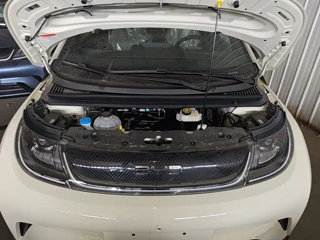 Photo 20 - BYD Dolphin