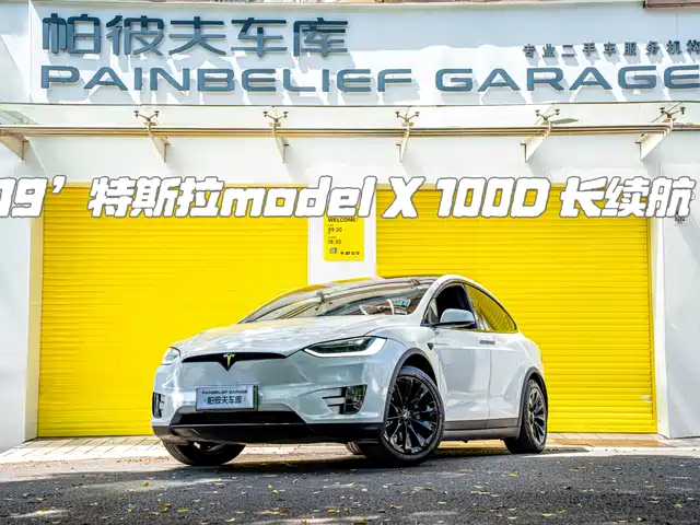  Tesla Model X 2017 Model X 100D Long Range