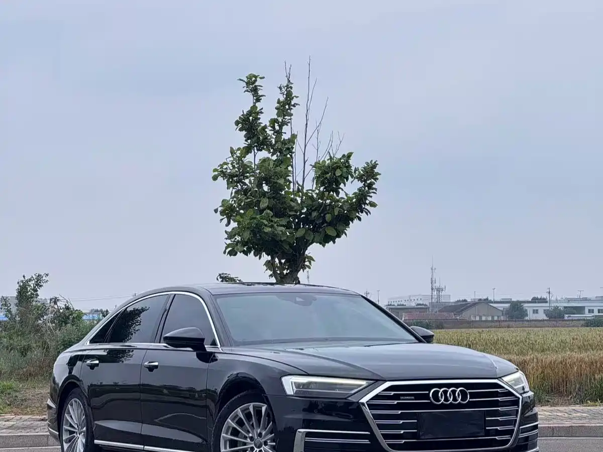 Audi A8 2019 Plus A8L 50 TFSI quattro Comfort фото 10