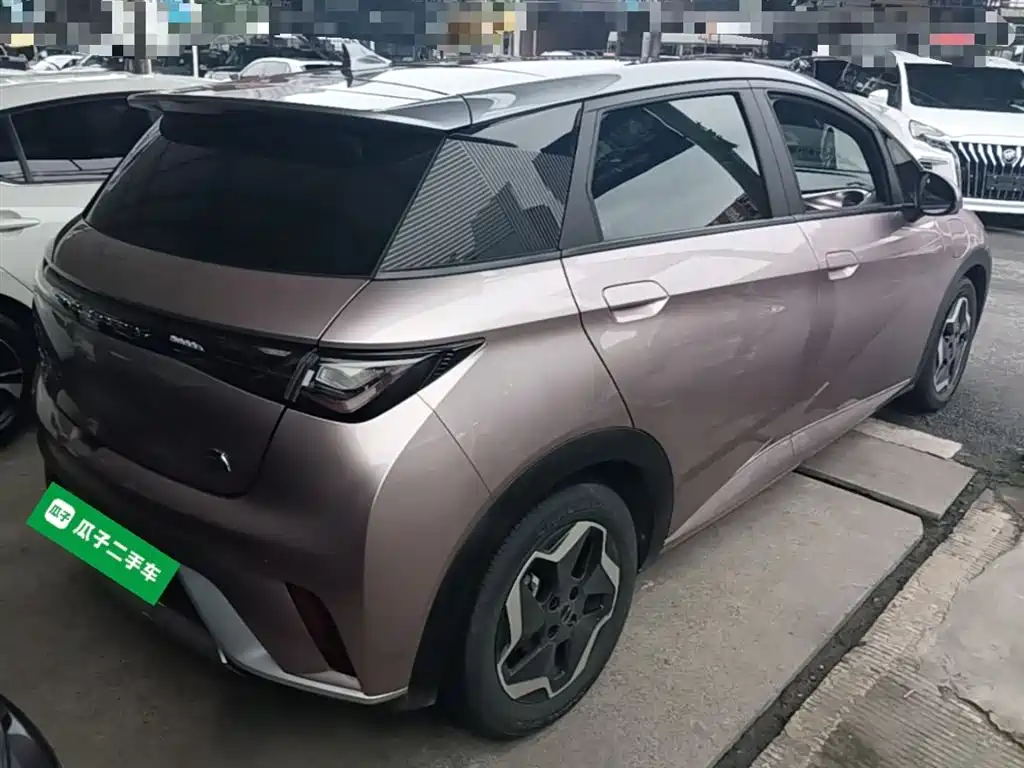 BYD Dolphin 2021 Model 405km Fashion Edition фото 7