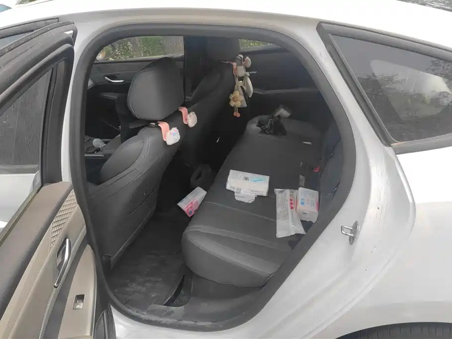 BYD Qin PLUS 2025 DM-i Smart Drive 55KM Leader фото 11
