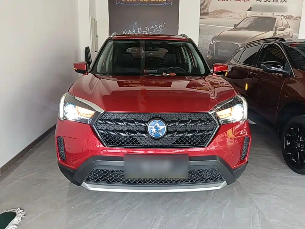 2020 Venucia T60
