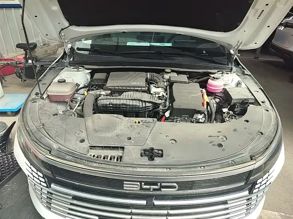 BYD Destroyer 05 2024 Glory Edition DM-i 55KM Luxury фото 20