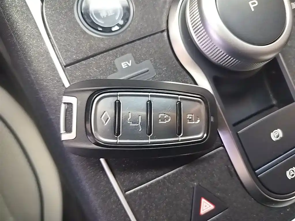 BYD Destroyer 05 2024 Glory Edition DM-i 55KM Luxury фото 9