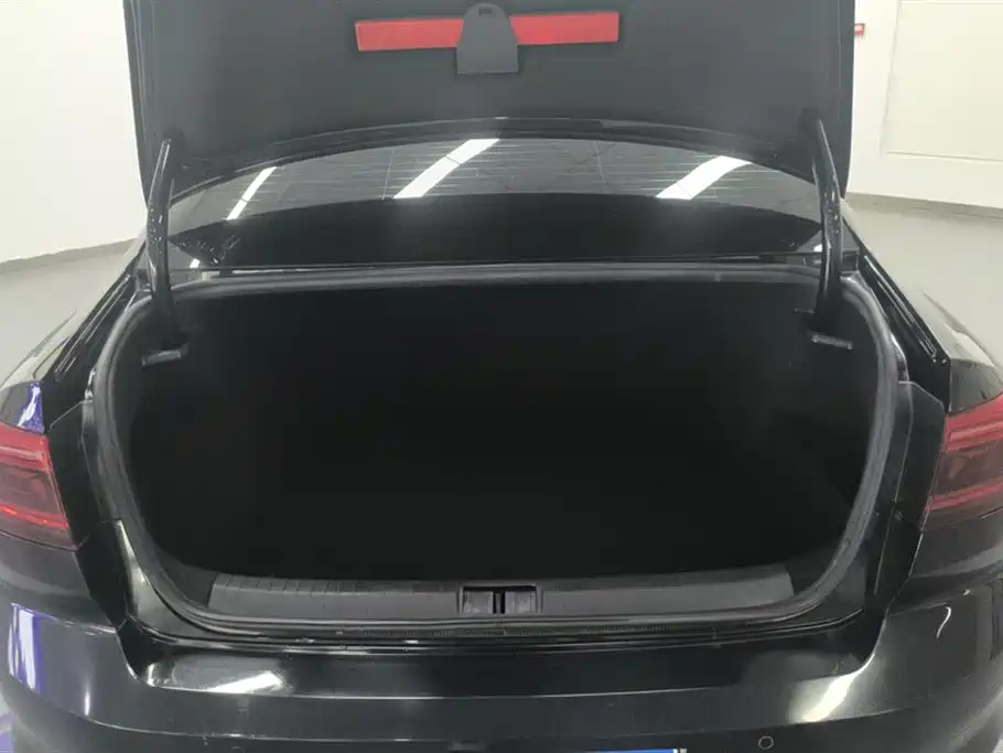 Volkswagen Magotan 2020 280TSI DSG Comfort фото 4