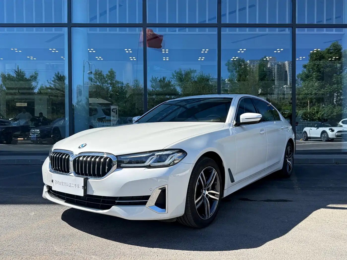 BMW 5 Series 2022 530Li Leading Luxury Package