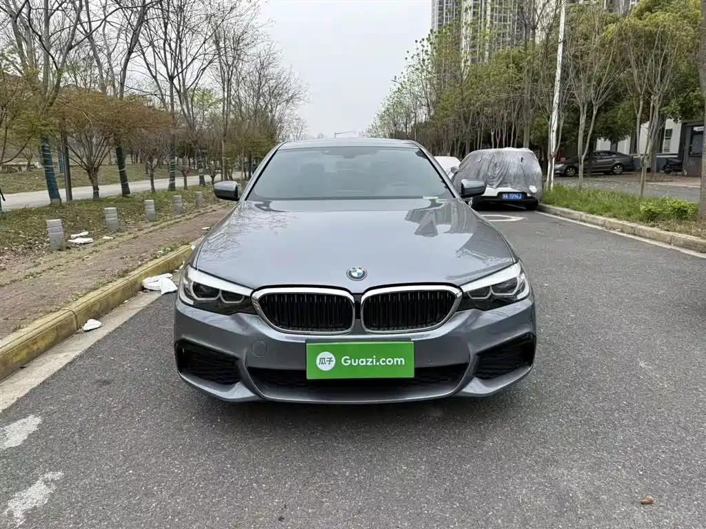BMW 5 Series (Import) 2019 Facelift 525i M Sport Package фото 21