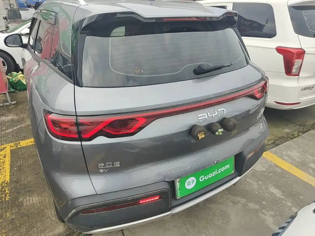 BYD Yuan UP 2024 2024 401KM Surpass Edition