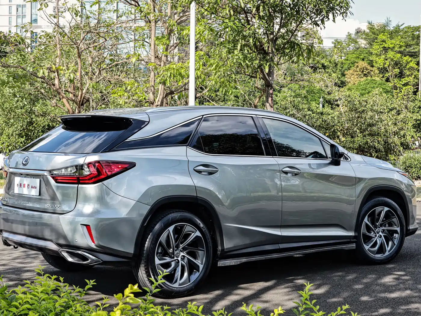 Lexus RX 2016 300 4WD Elegance Edition (China V) фото 6
