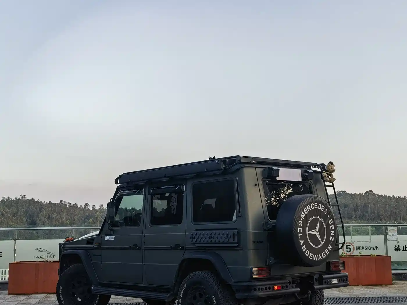 Mercedes-Benz G-Class 2004 G 500 фото 16