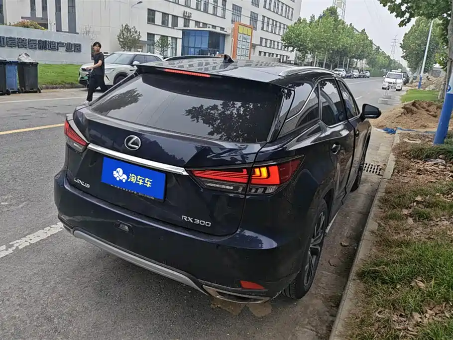 Lexus RX 2020 Facelift 300 AWD Elegance Edition фото 3