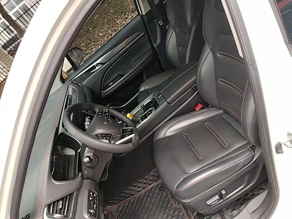 GAC Trumpchi Trumpchi GS4 PLUS 2022 2022 270T Automatic Starry Sky Edition