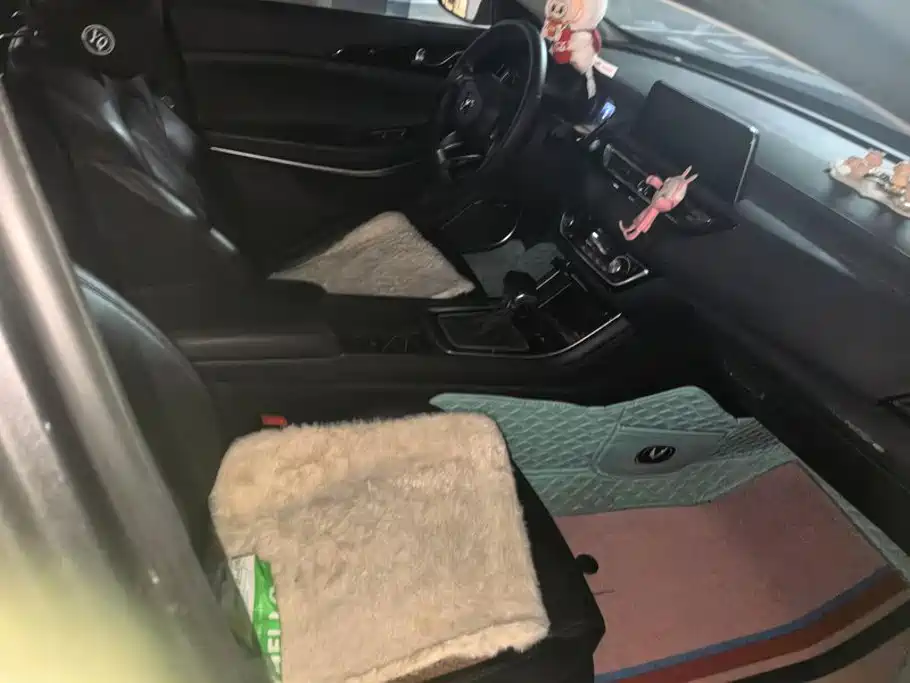 Changan Ruicheng CC 2021 2022 Blue Whale Edition 1.5T DCT Luxury