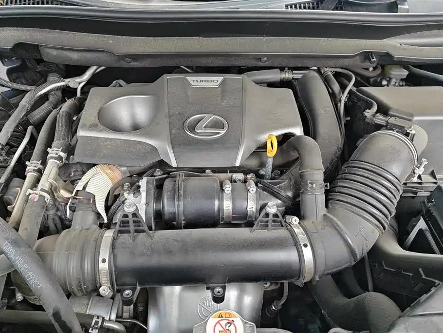 Lexus RX 2020 Facelift 300 AWD Elegance Edition фото 10