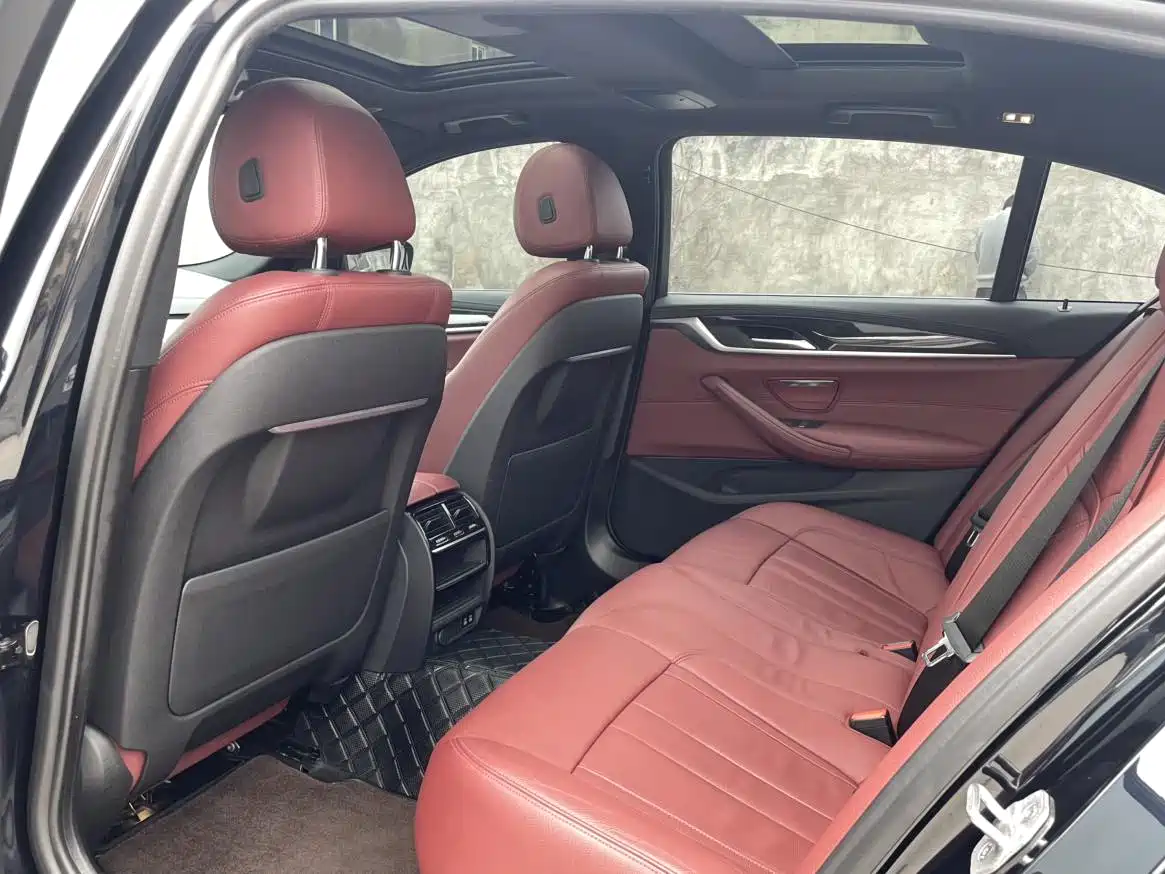BMW 5 Series 2020 530Li Leading M Sport Package фото 10