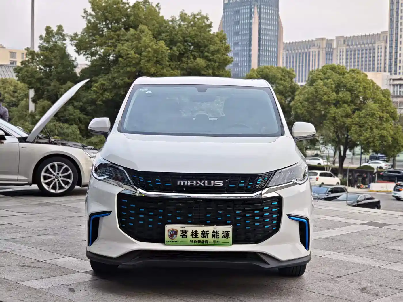 SAIC Maxus Dajia 5 2024 410KM Elite Edition 7-Seater фото 2